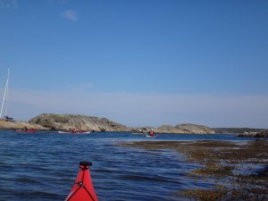DSC03090